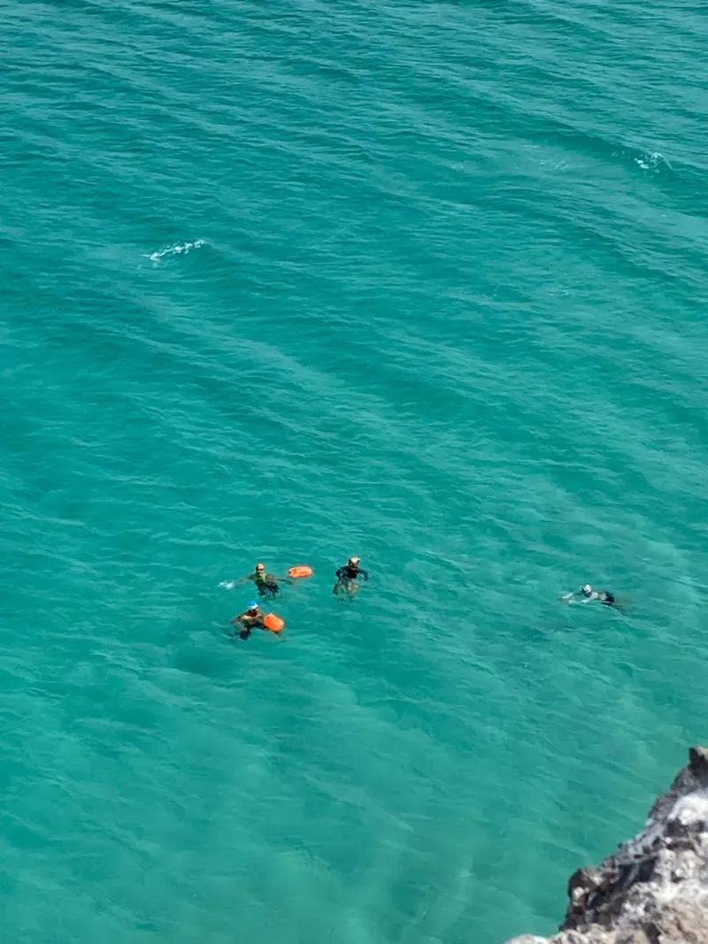 Nadadores en aguas turquesa del Mar de Cortés vista aérea
